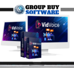 VidVoice